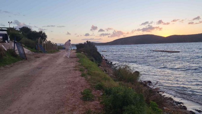 Bodrum’da Çürümüş Halde Ceset Sahile Vurdu