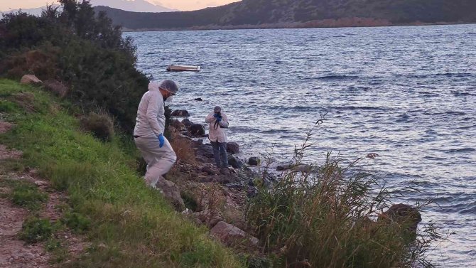 Bodrum’da Çürümüş Halde Ceset Sahile Vurdu