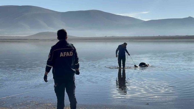 Sahibinden Kaçtı, Barajda Boğuldu