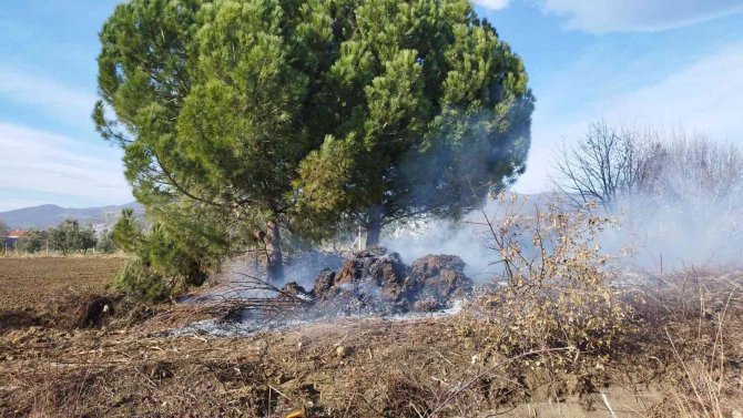 Bursa’da Daha Önce Kesilmiş Ağaçlar Tutuştu