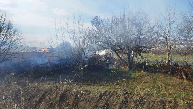 Bursa’da Daha Önce Kesilmiş Ağaçlar Tutuştu