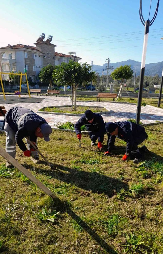 Ortaca’da Yeşil Alan Bakımları Devam Ediyor