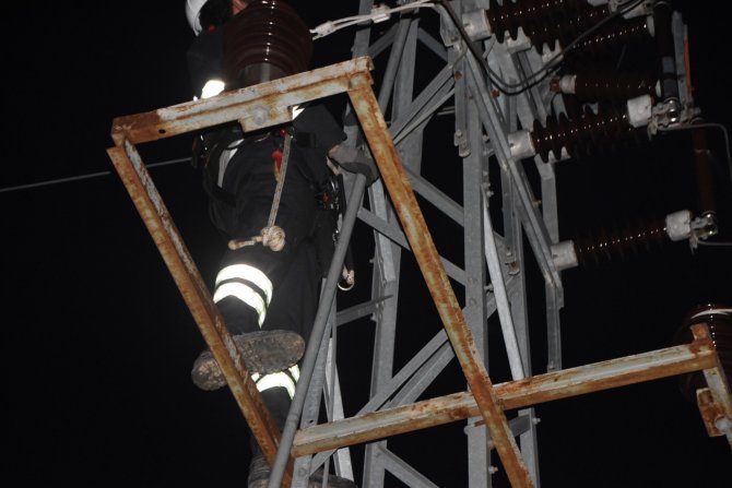 Yüksek Gerilim Hattına Kapılan Şahin 9 Köyün Elektriğini Kesti
