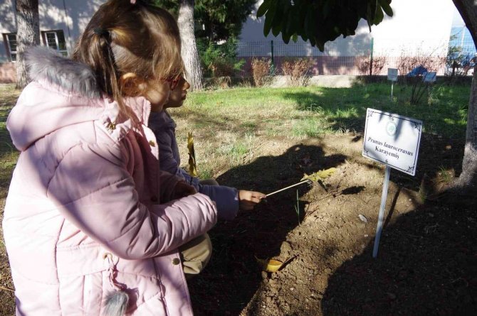 Yalova’da Çocuklar Doğayı Eğlenerek Öğreniyor