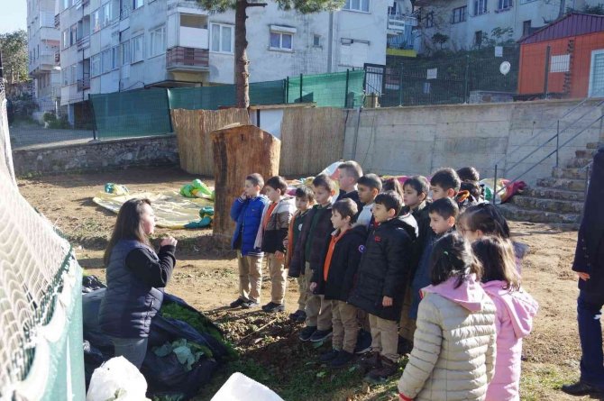 Yalova’da Çocuklar Doğayı Eğlenerek Öğreniyor