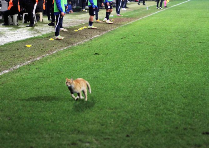 Ankaragücü, Beşiktaş Maçında Beklenmedik Misafir