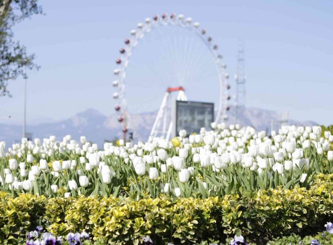 Antalya Büyükşehir Belediyesi, Hem Kendi Üretti Hem Tasarruf Etti