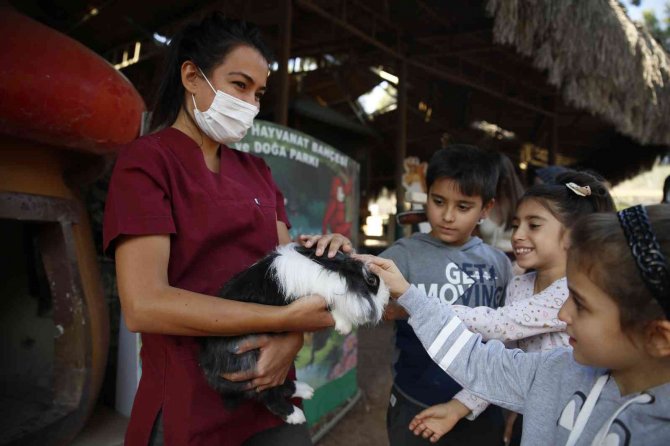 Doğal Yaşam Parkı Öğrenci Ve Öğretmenlere Yarıyıl Tatilinde Ücretsiz