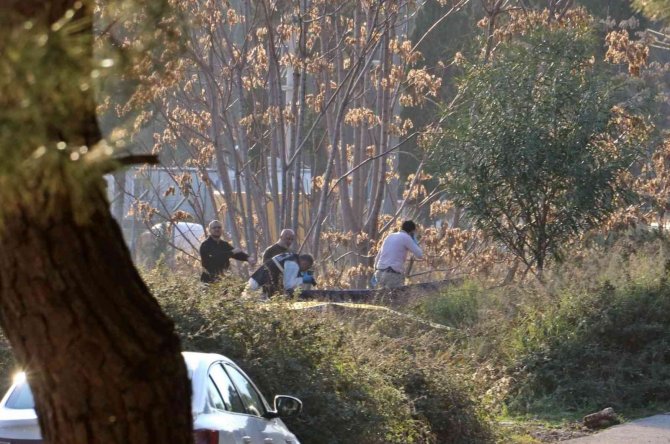 Antalya’da Ormanlık Alanda Kafası Ve Kolları Olmayan Erkek Cesedi Bulundu