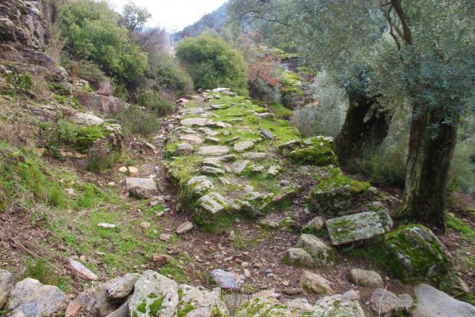 Bilinçsizce Açılan Zeytin Yolları, Aydın Tarihinin İzlerini Yok Ediyor