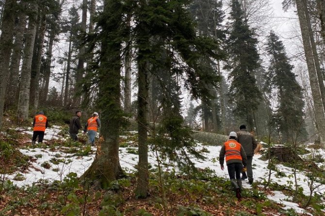 Gölyaka’da Orman Üretim Bölmeleri Kontrol Edildi