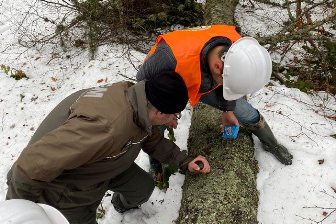 Gölyaka’da Orman Üretim Bölmeleri Kontrol Edildi