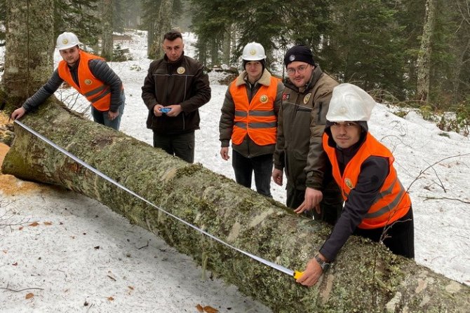 Gölyaka’da Orman Üretim Bölmeleri Kontrol Edildi