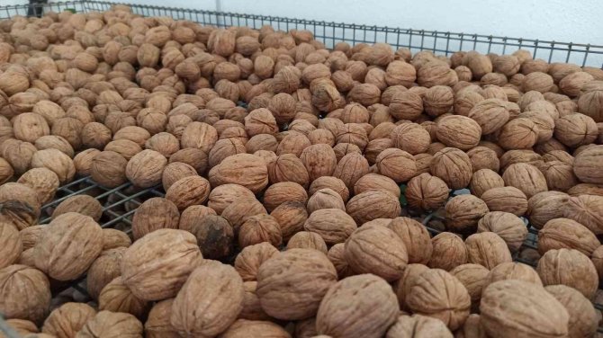 Kadın Girişimcinin Hedefi Büyümek