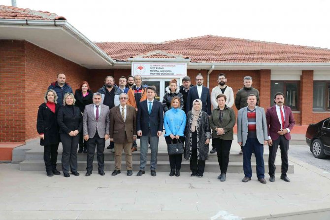 Eskişehir’de Geliştirilen Aspir Çeşitleri Çiftçi İle Buluşuyor