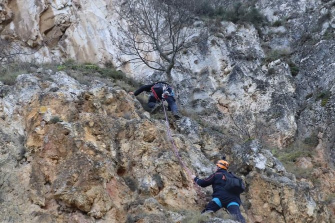 Dağlık Alanda Mahsur Kalan Köpek Arama Kurtarma Ekiplerince Kurtarıldı