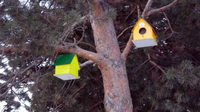 Yüksekova’daki 20 Noktaya Kuş Evi Bırakıldı