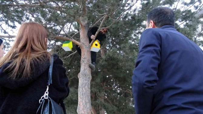 Yüksekova’daki 20 Noktaya Kuş Evi Bırakıldı