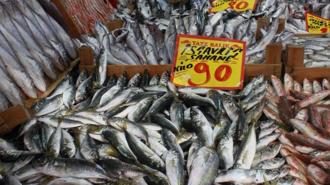 Hava Sıcaklıları Balık Fiyatlarını Etkiledi