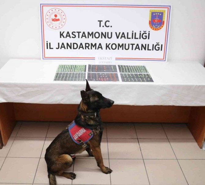 Kastamonu’da Yüzlerce Extacy Hap Ele Geçirildi: 1 Gözaltı
