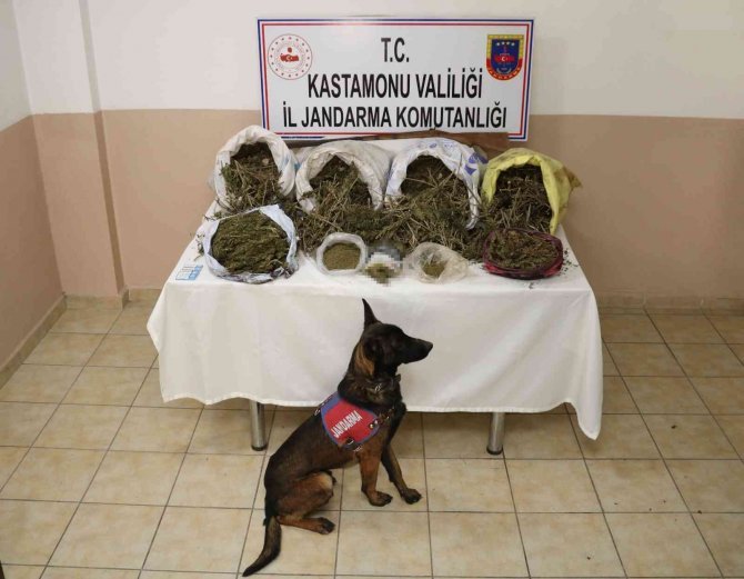 Kastamonu’da 28 Kilo Esrar Yakalatan Şahıs Tutuklandı