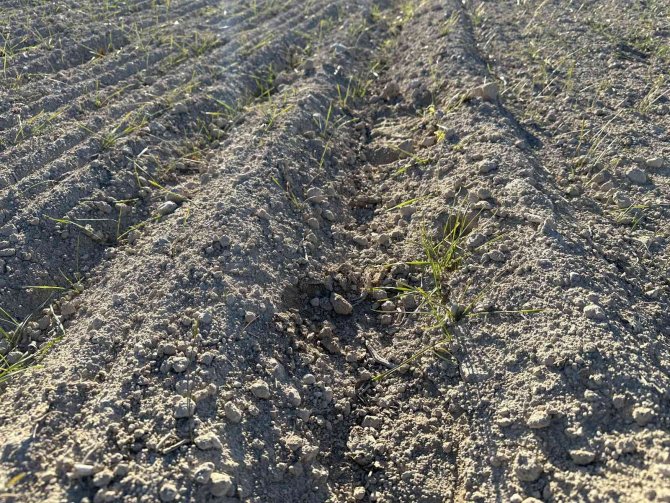 Uzmanlardan Kuraklık Uyarısı