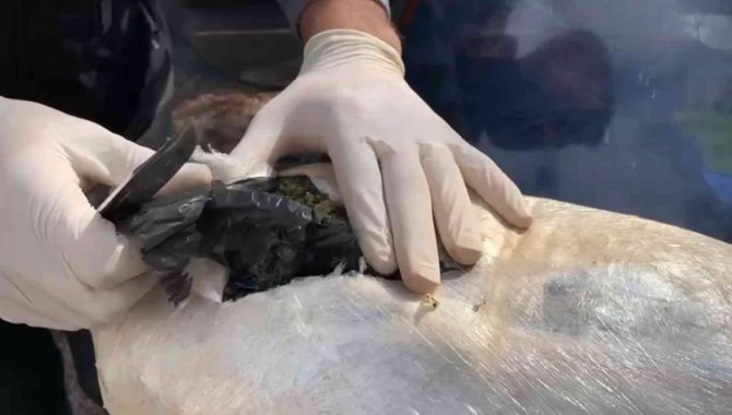Otomobilin Motor Ve Koltuk Arasına Zulalı Uyuşturucu Ele Geçirildi