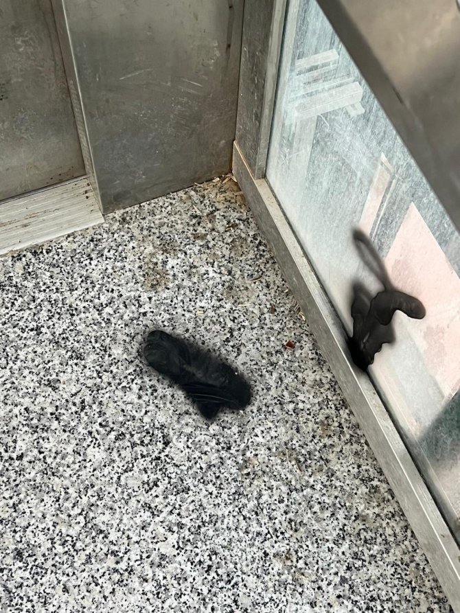 Şehidin Adını Taşıyan Yaya Üst Geçidini Bakın Ne Hale Getirdiler