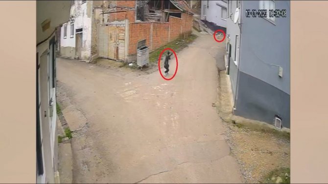 Bir Köpeği Daha Vurmuş