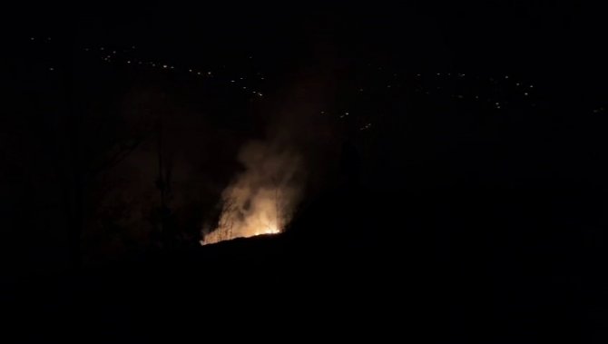 Sakarya’da Orman Yangını