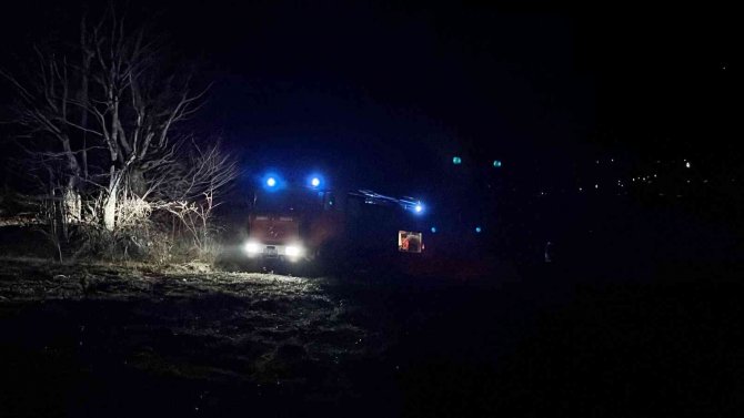 Sakarya’da Orman Yangını