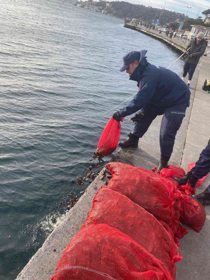 Sarıyer’de Yasa Dışı Midye Avcılığı Yapanlara 33 Bin 768 Para Cezası