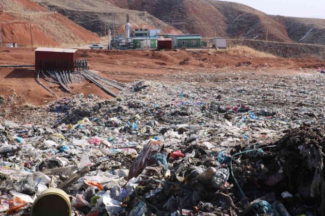 Şehirlerin Başına Dert Olan Çöp, Sivas’ta Bereket Oldu
