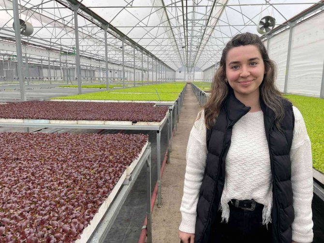 Eskişehir’in Akdeniz’inde Üretilen 20 Milyon Fide Ülke Geneline Satılıyor