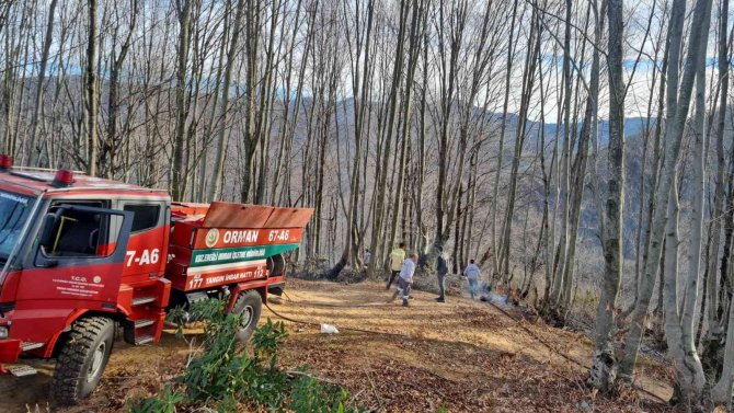 Yangın Ormana Sıçramadan Söndürüldü