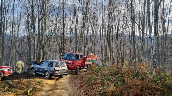 Yangın Ormana Sıçramadan Söndürüldü