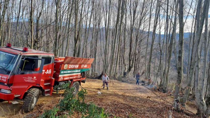 Yangın Ormana Sıçramadan Söndürüldü