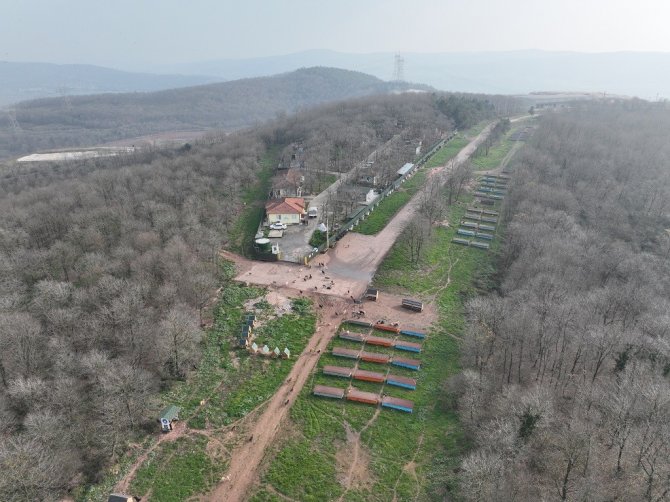 O Merkez Sahipsiz Canlara Umut Olmaya Devam Ediyor