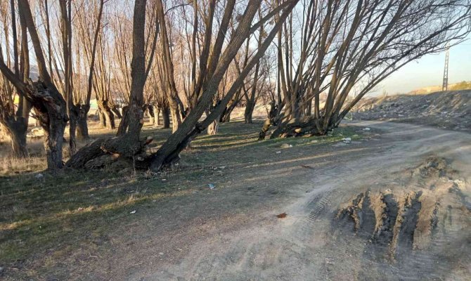 Park Halindeki Araçta 3 Ceset Gören Vatandaş O Anları Anlattı