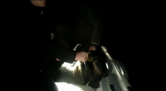 Batman’da Nehre Düşen Keçilerin İmdadına Dalgıç Ekipleri Yetişti