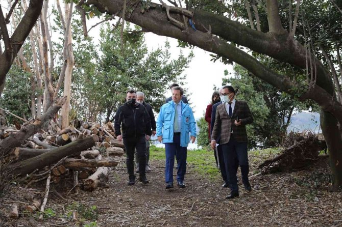 Doğu Karadeniz’in İnsan Yaşayabilen Tek Adası Olan Giresun Adası Turizme Kazandırılıyor