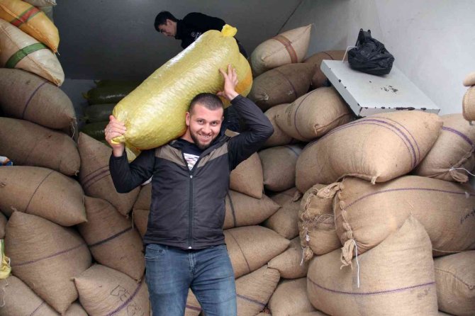 Fındık Fiyatı Yükselişini Sürdürüyor