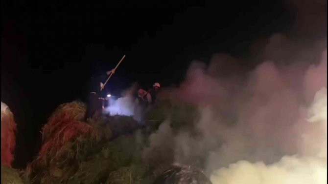 Yüksekova’da Çıkan Yangında 4 Bin Bağ Ot Kül Oldu
