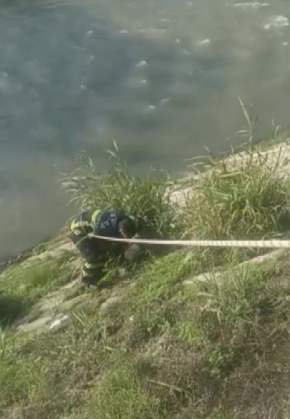 Asi Nehri Kenarında Mahsur Kalan Köpek Kurtarıldı