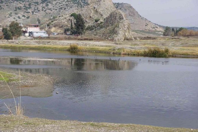 Kastabala Sulak Alanında Kış Ortası Su Kuşu Sayımı