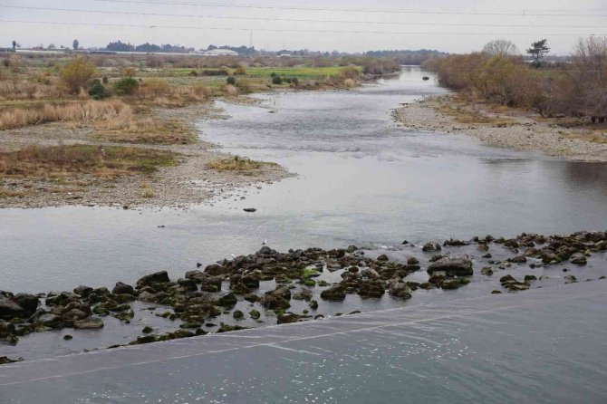 Kastabala Sulak Alanında Kış Ortası Su Kuşu Sayımı