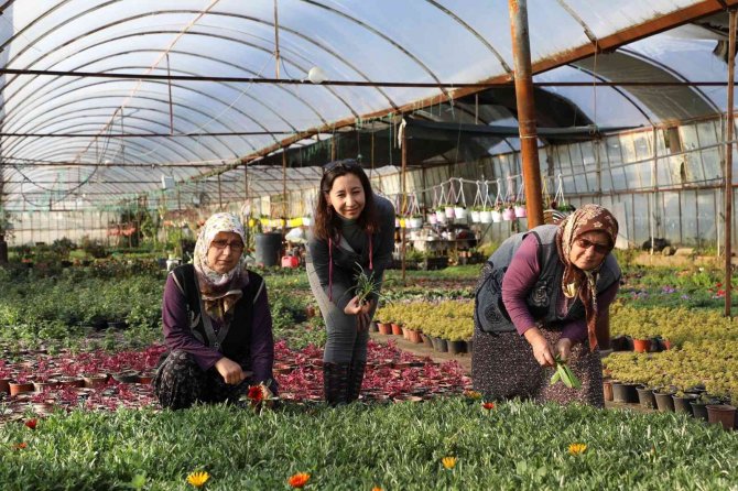 2022 Yılında 1 Milyon 250 Bin Çiçek Üretildi