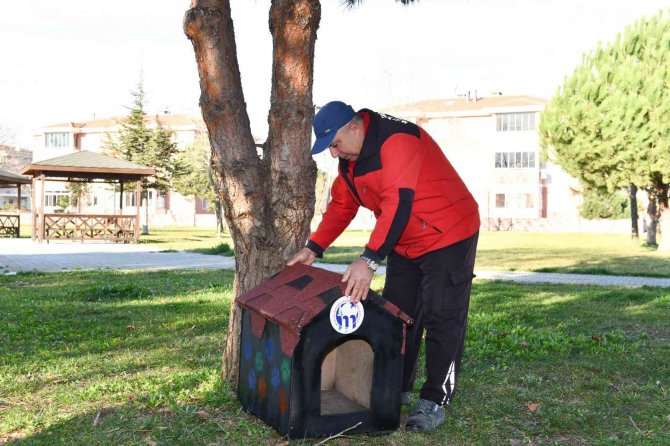 Mustafakemalpaşa Belediyesi’nden ‘Kedi Evi’ Projesi