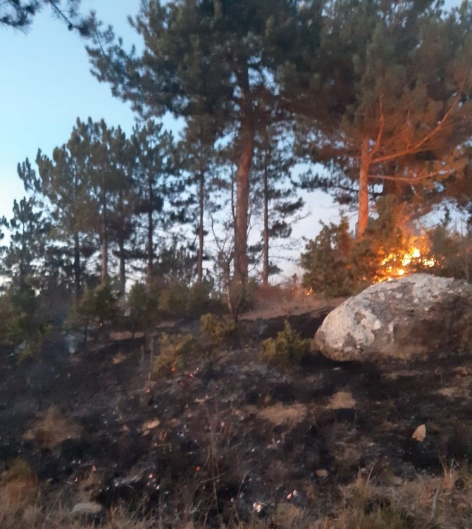 Bolu’da Orman Yangını