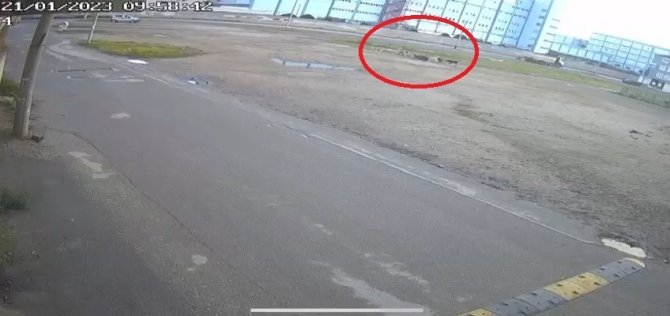 Bursa’da Başıboş 10 Köpeğin Yaşlı Kadına Saldırması Kamerada